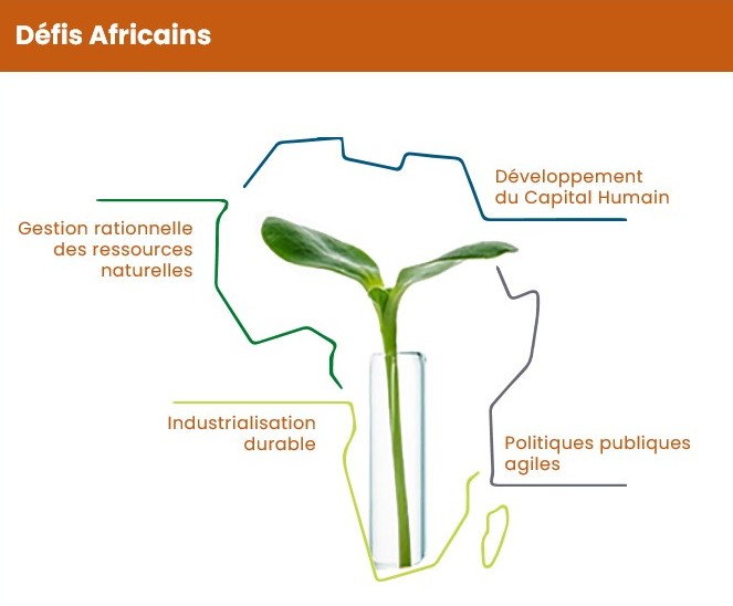 Défis africains